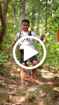 BIB:  <button type="button" onclick="openModal(27611307)" class="btn btn-primary btn-sm float-right" data-toggle="modal" data-target=".modal-high-quality">
                <i class="fa fa-download"></i> Download
                </button>